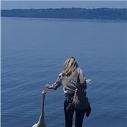 Docente di latino e greco liceo statale impartisce ripetizioni anche in line